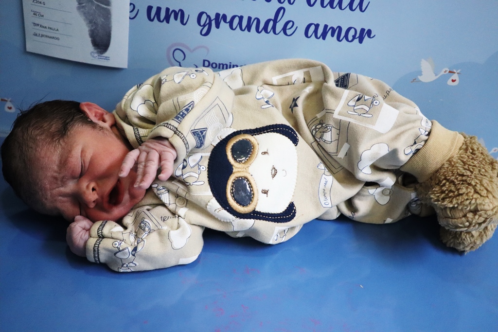 Bernardo