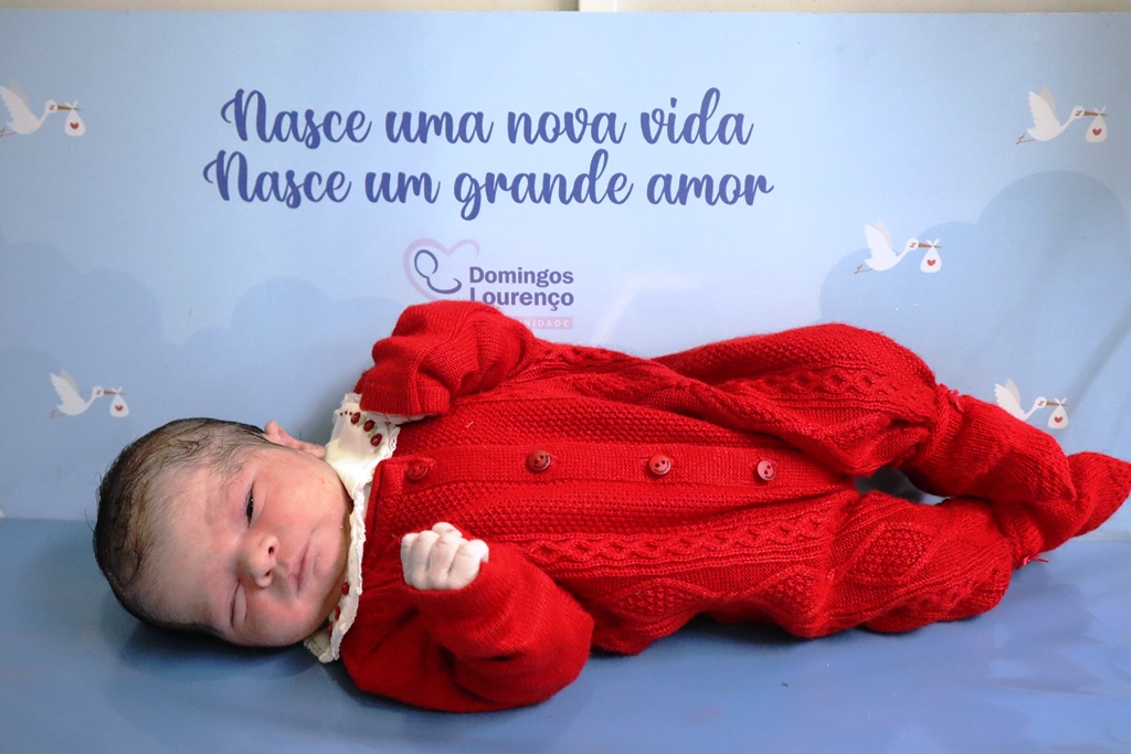 Heloisa