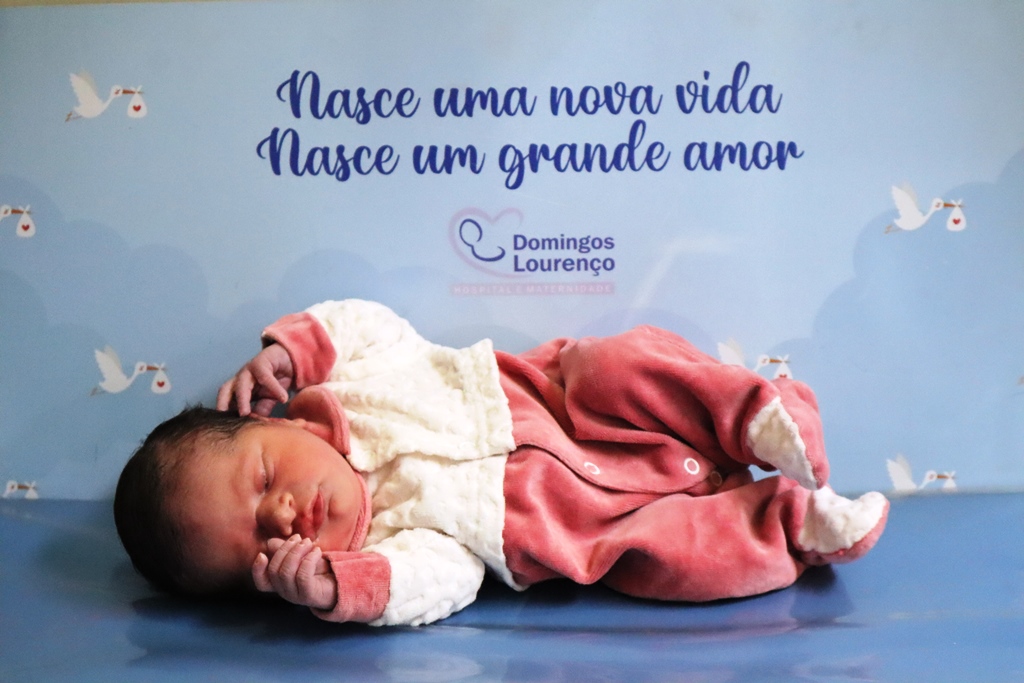Catarina