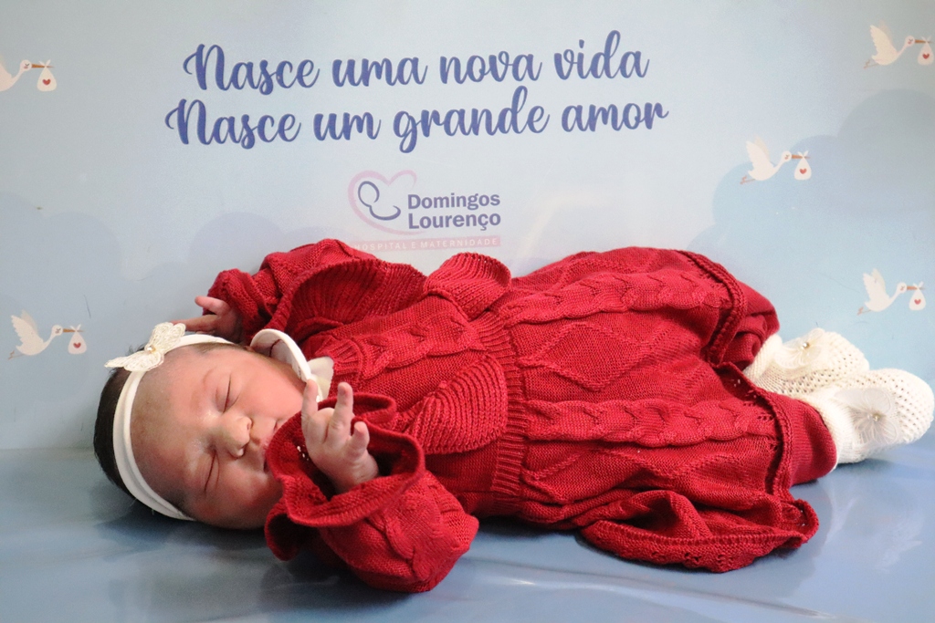 Catarina