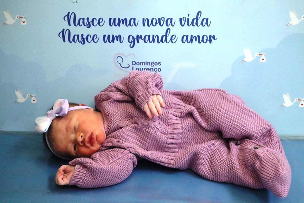 Alícia