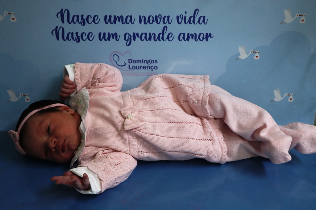 Catarina