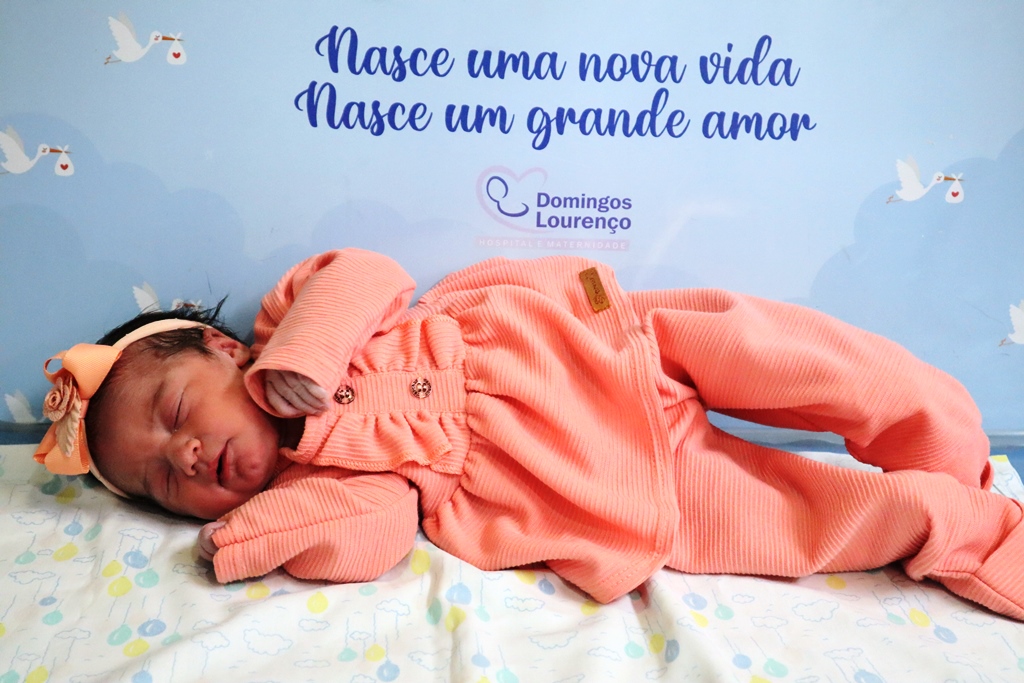 Catarina